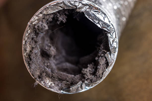 Best Residential Air Duct Cleaning  in Kenton, OH
