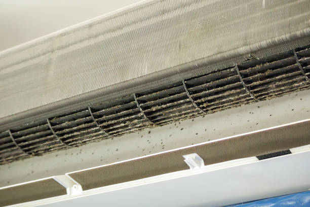 Best Emergency Air Duct Cleaning  in Kenton, OH